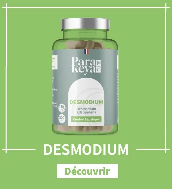 Bacopa 300 mg| M moire et Concentration|Compl ment alimentaire|60 g lules 60 unit (Lot de 1) - product information 21
