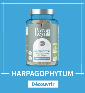 Bacopa 300 mg| M moire et Concentration|Compl ment alimentaire|60 g lules 60 unit (Lot de 1) - product information 29