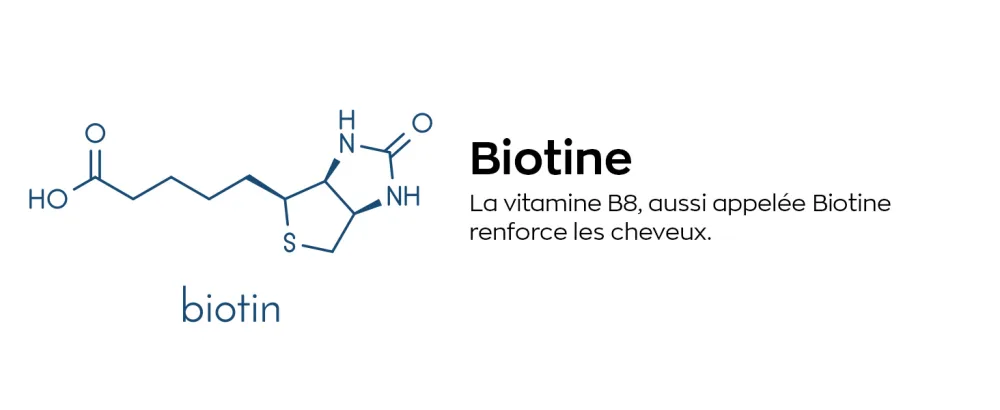 GUMMIES CHEVEUX 4-EN-1| PRO KERACYS GRANIONS | Vitamines pour Cheveux | Croissance + Force + Microcirculation + Pigmentation | Pousse rapide avec Biotine Zinc Vitamine B8 et K ratine. Format 1 mois - product information 4