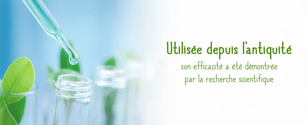 GRANIONS DE FER - 30 ampoules 30 unit (Lot de 1) FER ampoules - product information 7