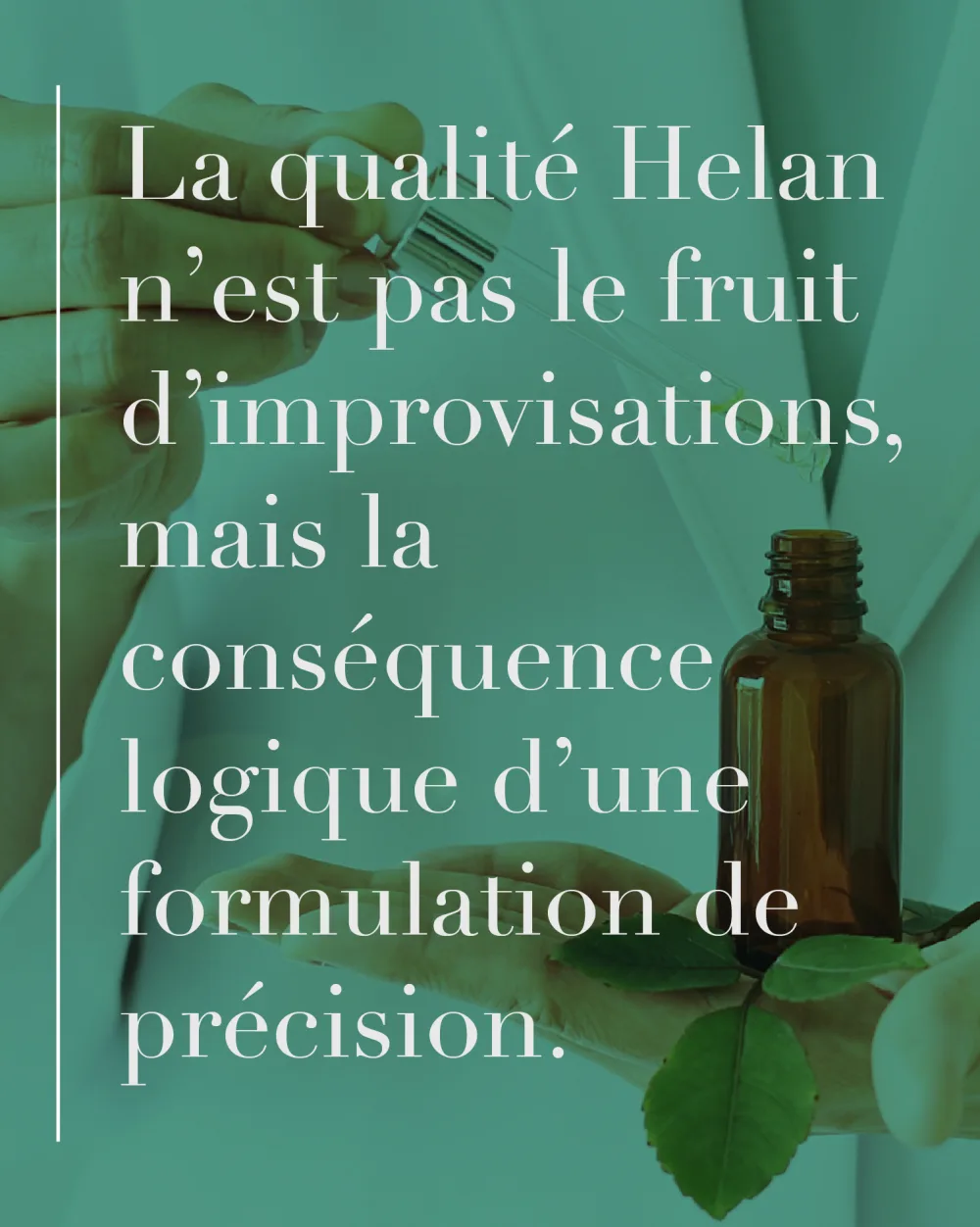 Helan - Capelvenere Bioshampoo Noyer et Chine 200 ml - product information 8
