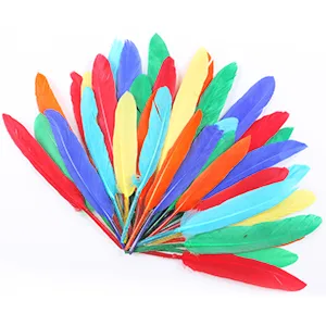 Coceca 240pcs Colorful Goose Feathers 4-6 Inches Natural Feathers for DIY Crafts - Coceca