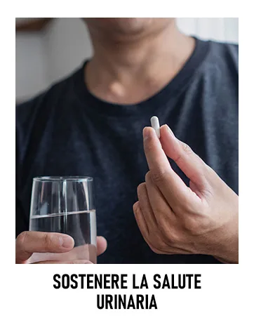 Dong Quai Extrait 5 000mg Equivalent (500mg d'extrait 10:1) 120 g lules v g taliennes - product information 8