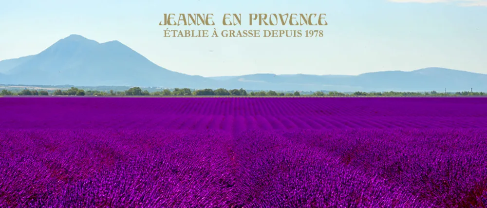 Jeanne en Provence - Savon Solide - Lavande Gourmande - Fabriqu en France - 100 g - product information 1