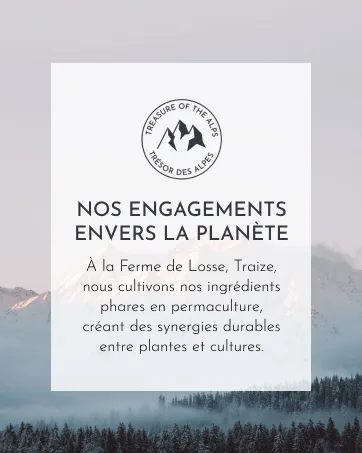 Lait D maquillant style 4 - product information 4