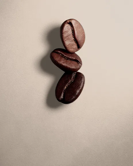 Illy - 100% Arabica Instant Coffee - 100g - product information 3