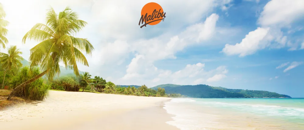 Malibu Lotion with SPF10 100 ML - product information 1