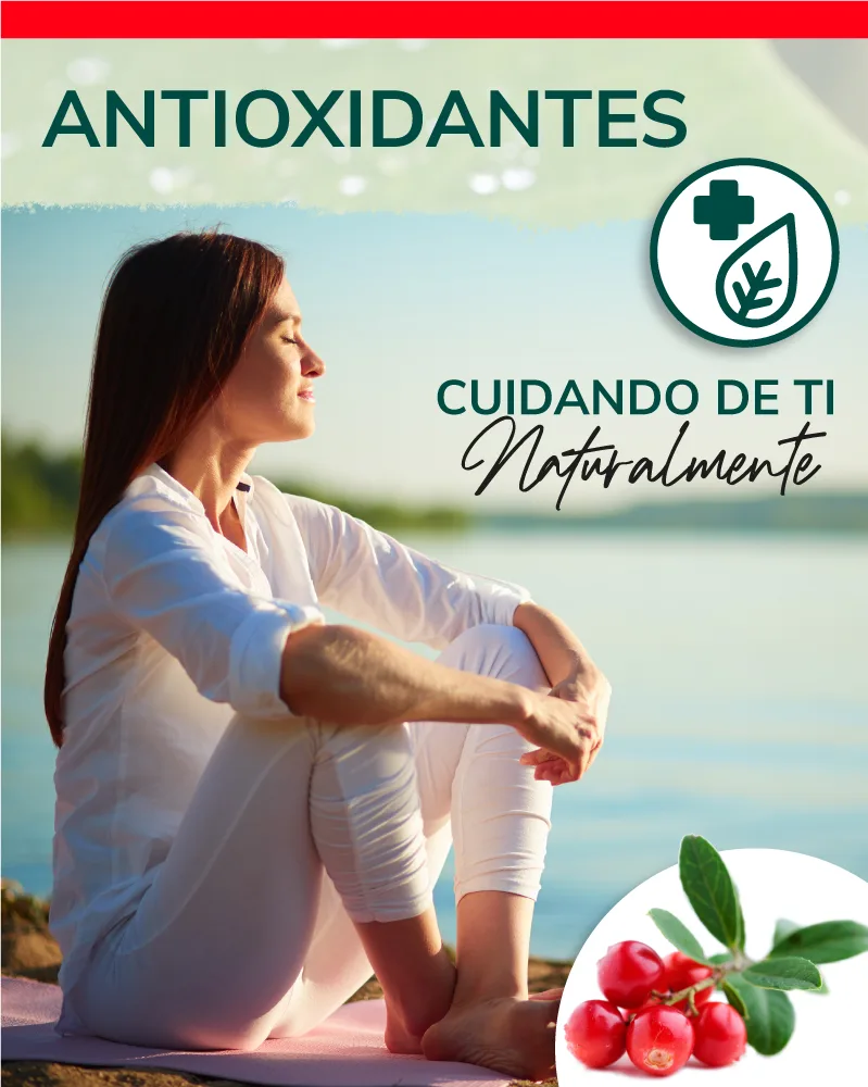Obire | L cithine de soja 1200mg | 200 perles | Source naturelle de phospholipides | Soin h patique et m tabolique - product information 3