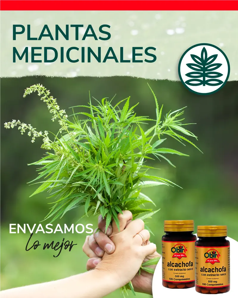 Obire | L cithine de soja 1200mg | 200 perles | Source naturelle de phospholipides | Soin h patique et m tabolique - product information 6