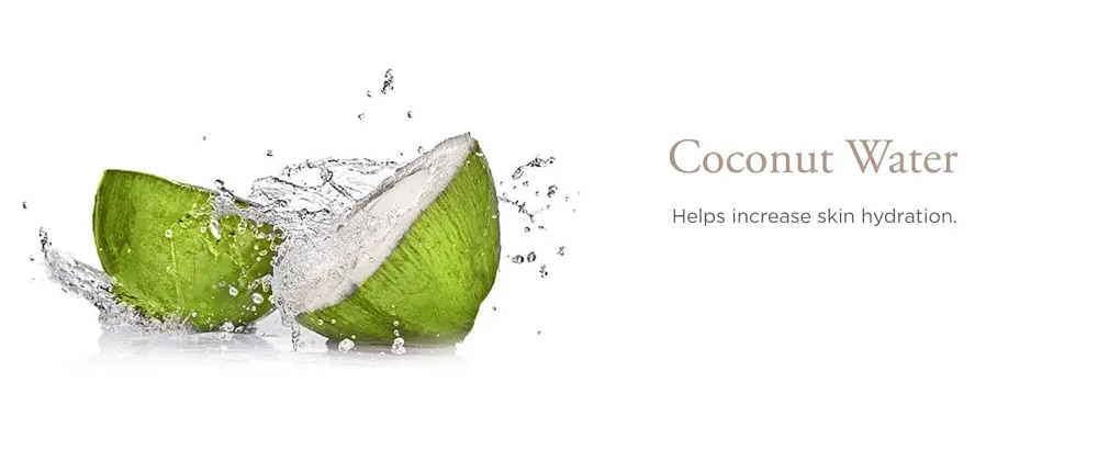 P R 4-in-1 Correcting Primer  Pore Reducer  Makeup Primer  Redness Reducer  Cruelty-Free  Lightweight Formula  Vegan Friendly Redness Reducer 1.2 Fl Oz - Ingredient: Coconut Water