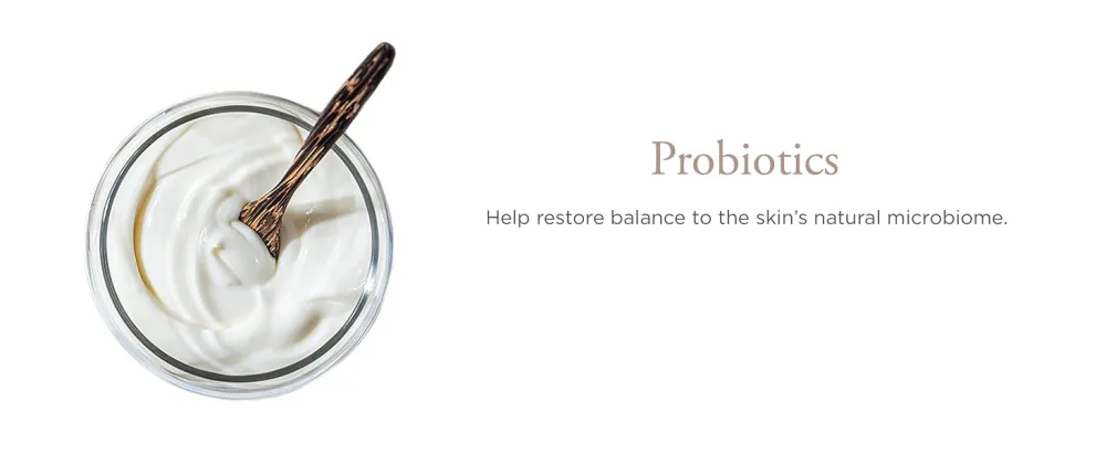P R 4-in-1 Correcting Primer  Pore Reducer  Makeup Primer  Redness Reducer  Cruelty-Free  Lightweight Formula  Vegan Friendly Redness Reducer 1.2 Fl Oz - Ingredient: Probiotics