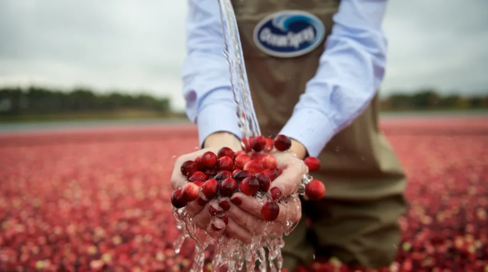 OCEAN SPRAY Bouteille de jus de Cranberry et Framboise Faible en sucres 1 Litre -Carton de 6 bouteilles - product information 1