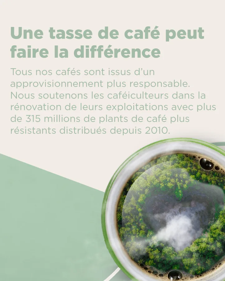 Nescaf Cappuccino Caf Soluble 10 sticks 1 unit (Lot de 10) - product information 2