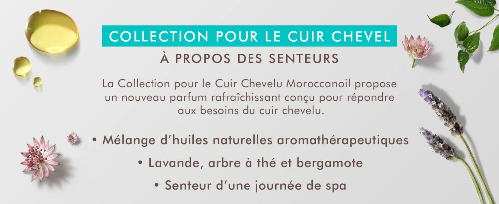 Moroccanoil Shampooing pour r quilibrer le cuir chevelu 250 ml (Lot de 1) - product information 3