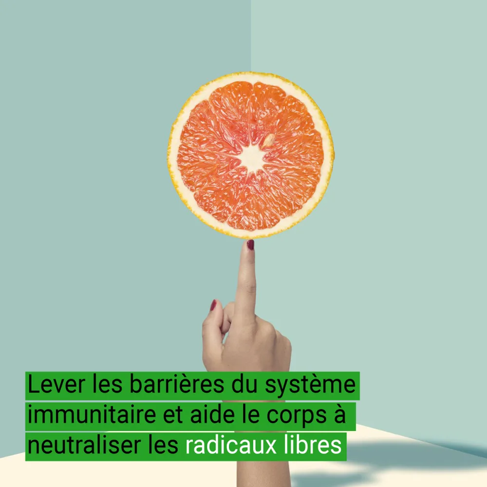 Vitamine C en poudre - Acide L-Ascorbique 500 g - product information 4