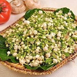 TooGet Bourgeons de Jasmin Purs Naturels Parfum s Fleurs de Jasmin S ch es en Gros Tisane - 60g - product information 3
