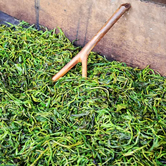 200g de th Matcha BIO CLASSIC sans additifs - product information 5