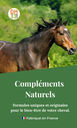 Distri B12 Cheval Compl ment Vitamine B12 nergie Vitalit & Soutien M tabolique (900 g) - product information 2