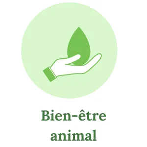 Distri B12 Cheval Compl ment Vitamine B12 nergie Vitalit & Soutien M tabolique (900 g) - product information 6