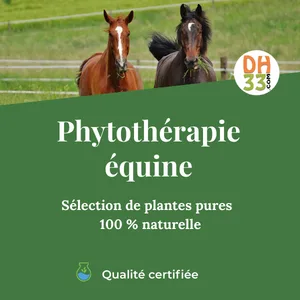 Distri B12 Cheval Compl ment Vitamine B12 nergie Vitalit & Soutien M tabolique (900 g) - product information 8