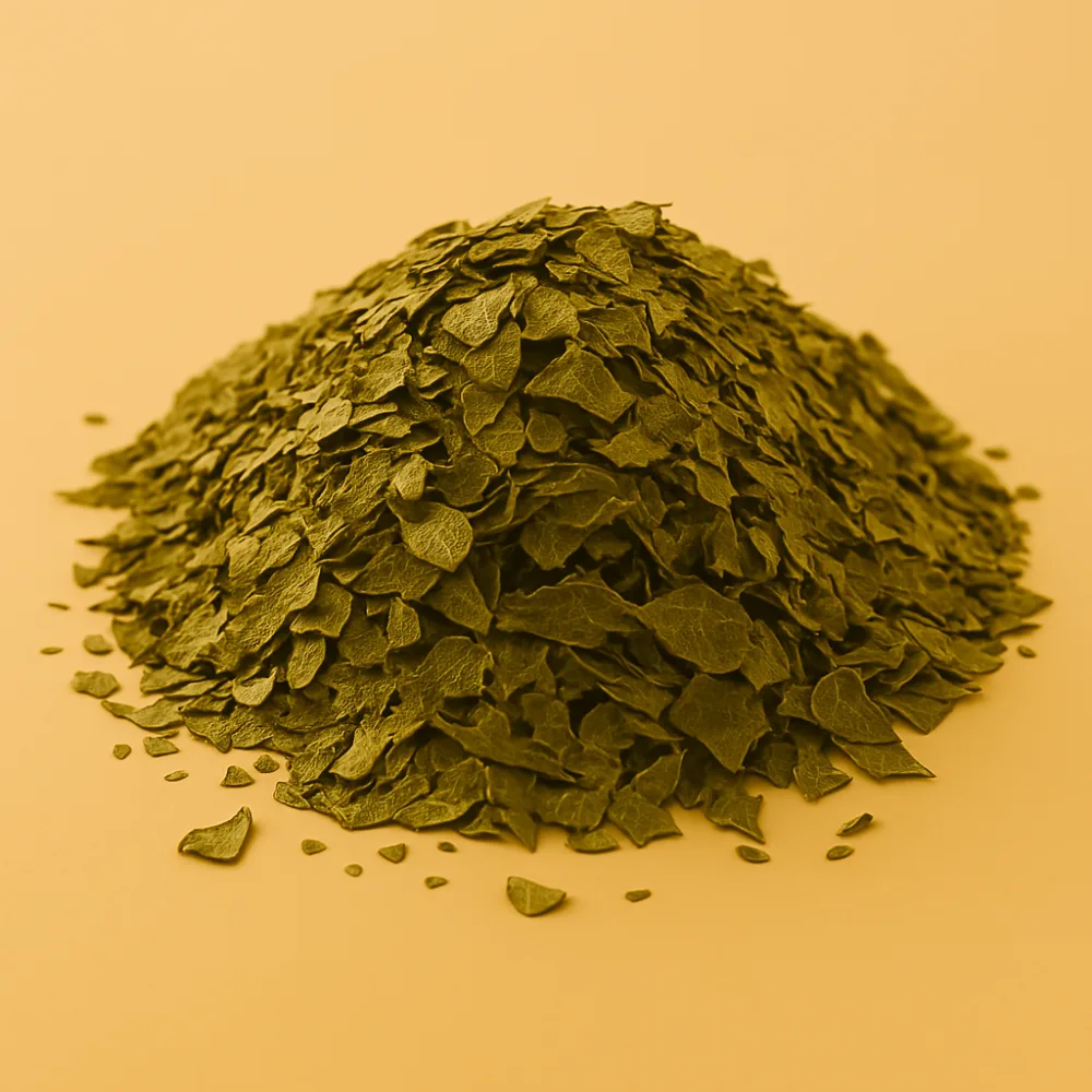 al badil Gymnema Sylvestre Feuille coup e - product information 1
