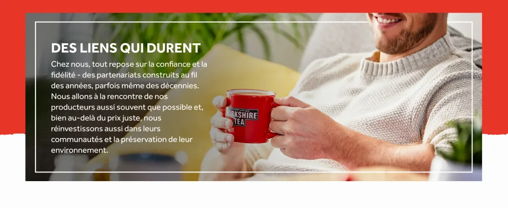 Yorkshire Tea - M lange de Th Noir R confortant et Intense - Infusion Soign e M lang e Avec Pr cision Pour Une Saveur Constante - 200 Sachets de Th tiquet s - product information 2