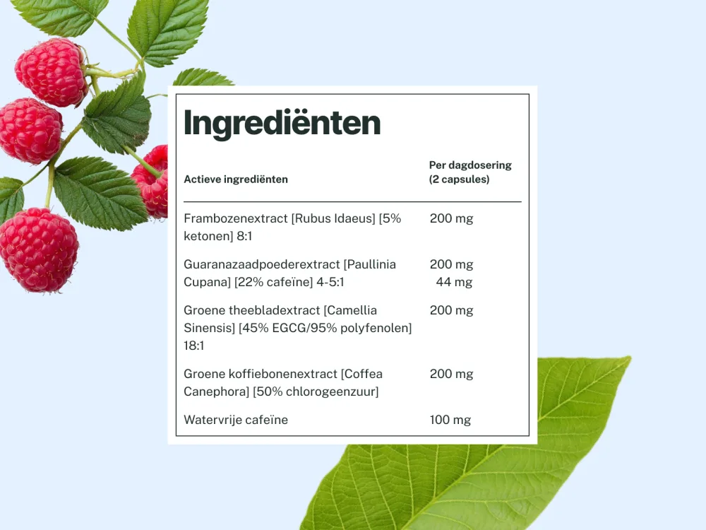 Insuvit Compl ment Alimentaire en G lules Formule aux Extraits de Plantes Avec Caf ine Framboise & Th Vert 60 G lules - product information 10