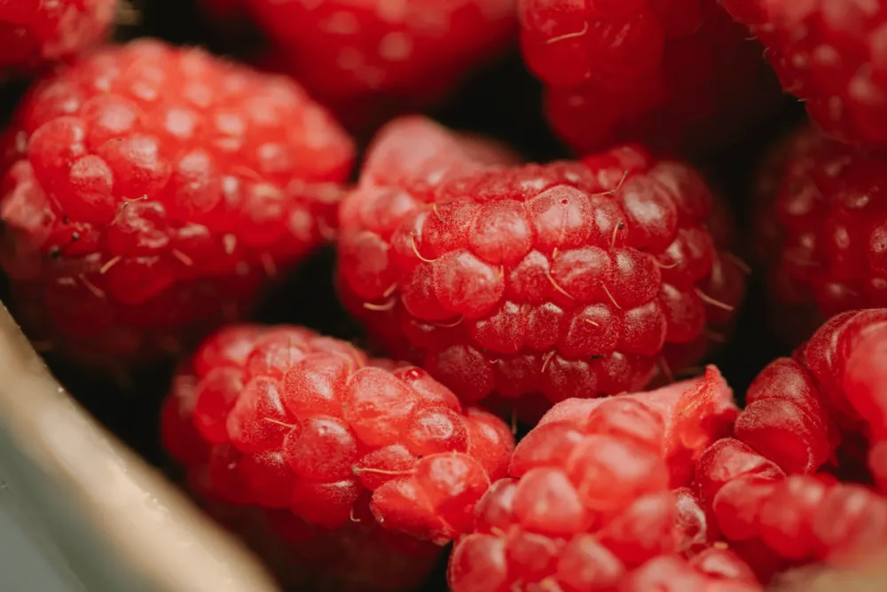 Insuvit Compl ment Alimentaire en G lules Formule aux Extraits de Plantes Avec Caf ine Framboise & Th Vert 60 G lules - product information 2