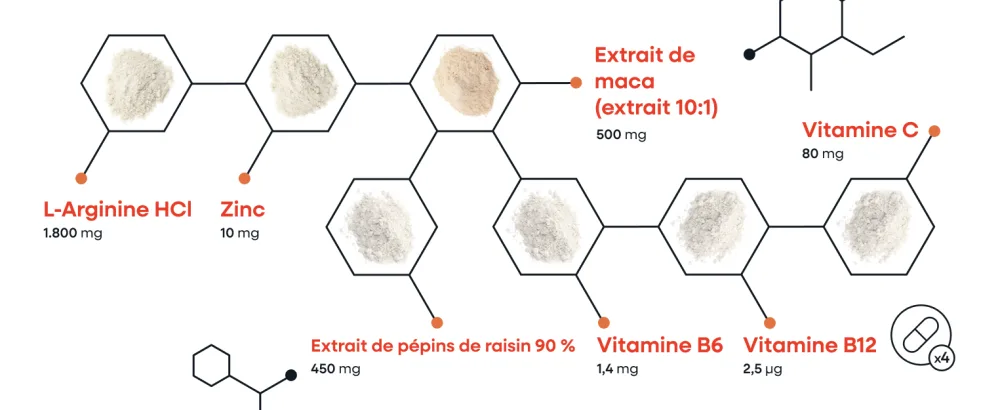 Maca Complex 5000mg - nergie Booster Circulation Endurance avec L-Arginine + Vitamines B6 B12 + OPC + Zinc -120 Vegan Capsules - product information 7