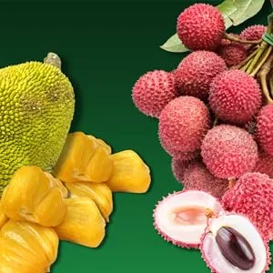 AROY-D Tiges de Bambou 0.54 kg 1 Unit - product information 4