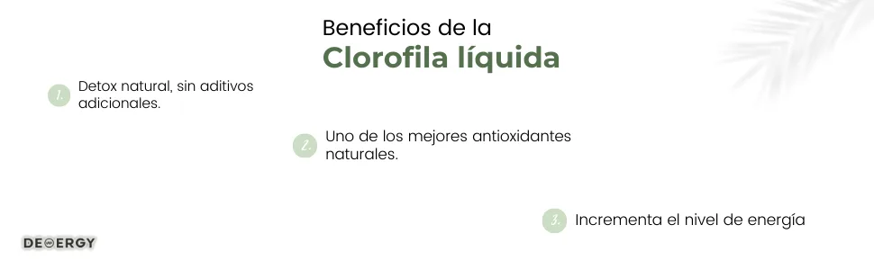 Chlorophylle liquide 60 ml Haute concentration sans alcool v g talien et 100 % naturel sans gluten - product information 2
