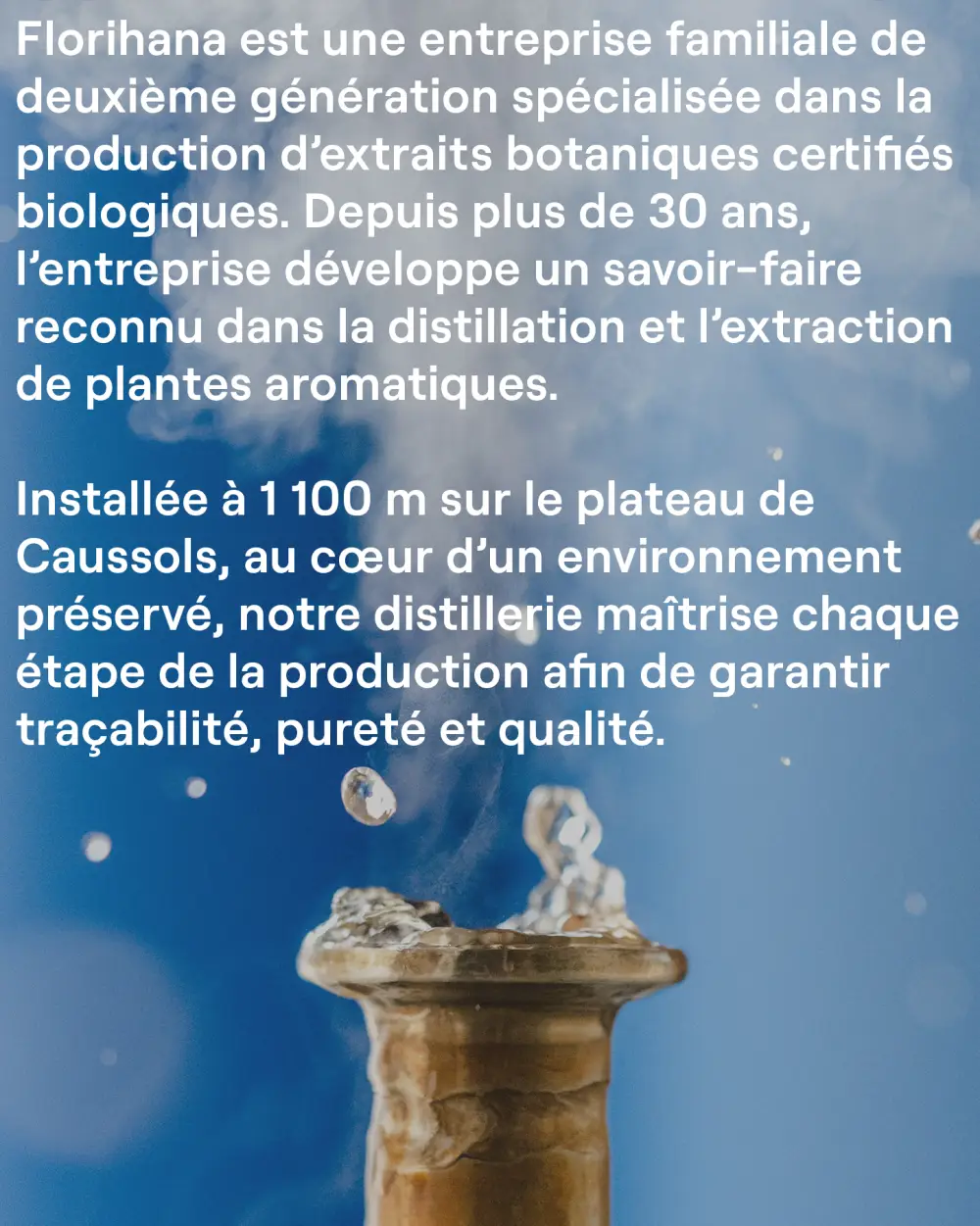 FLORIHANA Hydrolat (Eau Florale) de Camomille Matricaire BIO 100% Pur & Naturel 1000 ml - product information 2
