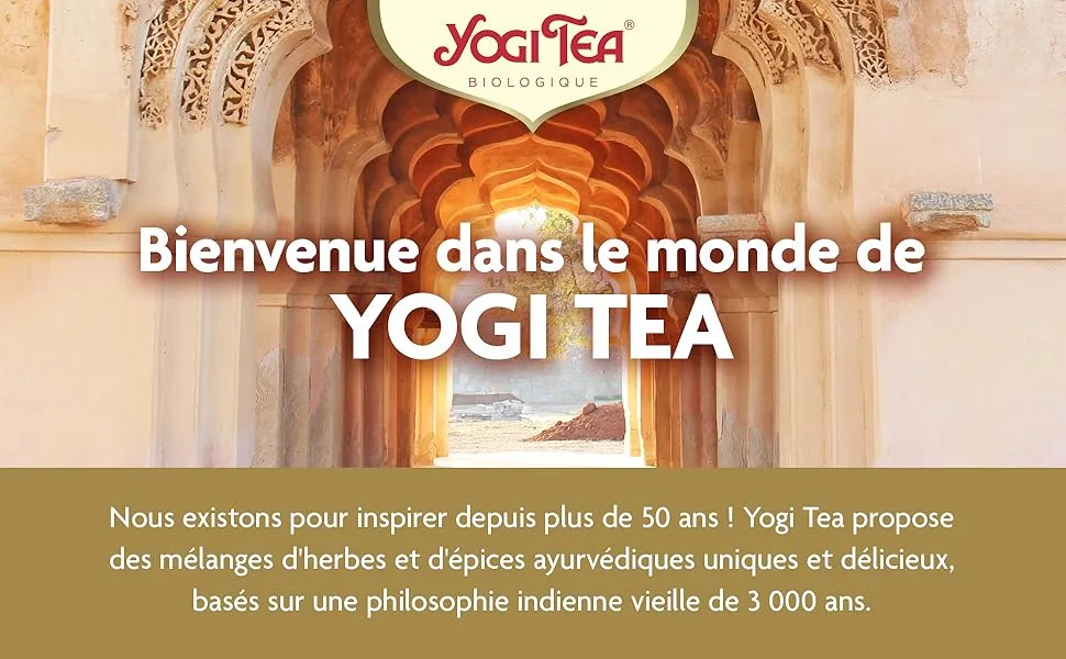 YOGI TEA Choco Bio - Cacao & pices Cha Saveur Chocolat e pic e Bien- tre & Moment Gourmand 17 Sachets - product information 1