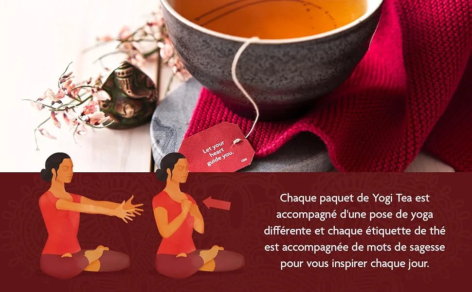 YOGI TEA Choco Bio - Cacao & pices Cha Saveur Chocolat e pic e Bien- tre & Moment Gourmand 17 Sachets - product information 2
