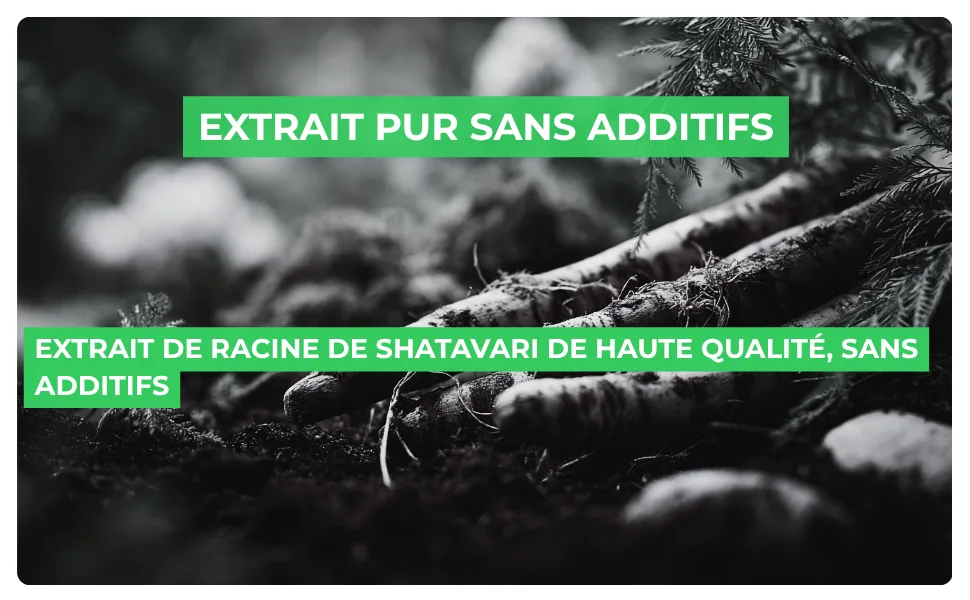Shatavari - Vitalit & quilibre - Extrait Concentr 500 mg 60 G lules - product information 3