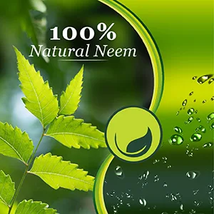 Margo Soap - 100 g (Buy 4 Get 1 Free) - product information 4