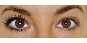 BaeBlu Organic Mascara and Lash Conditioner  Long and Healthy Lashes  Non-Irritating 100% Natural Formula  Black - Eyelashes