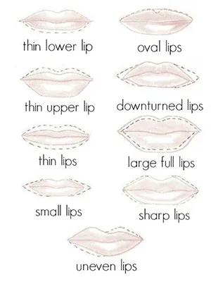 BaeBlu Waterproof Lip Liner Pencil  Natural Ingredients Chemical Free  Barely There - Lip chart