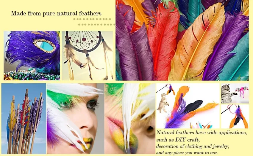 HaiMay 450 Pieces Colorful Feathers for Craft Wedding Home Party Decorations  3-5 Inches 10 Colors Craft Feathers - product information 3