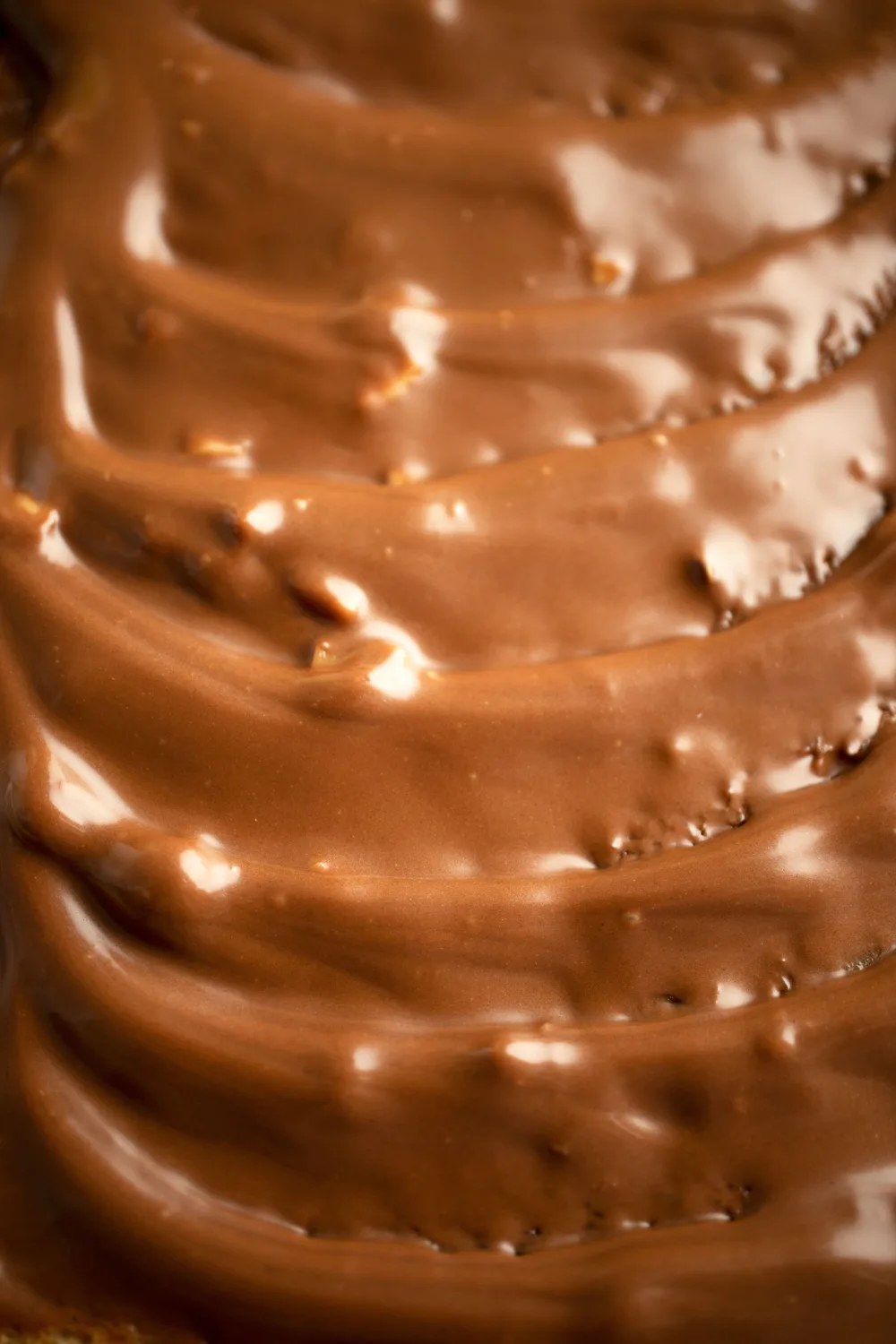 NOVA ENGEL Protella Crema Chocolate De Avellanas-Trocitos De Almendra - product information 4