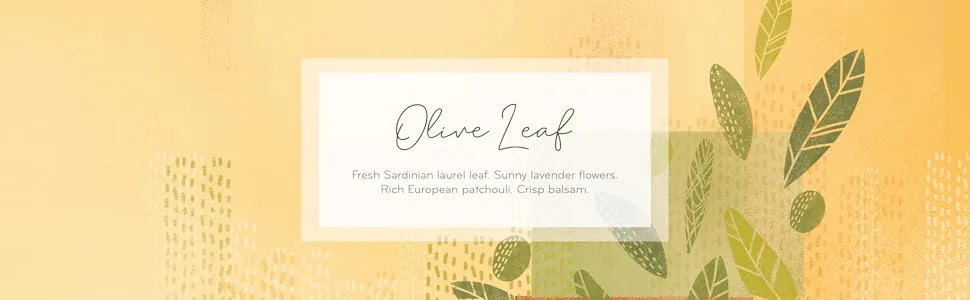 Thymes Olive Leaf Luxurious Bath Soap 170g/6oz - Olive Leaf