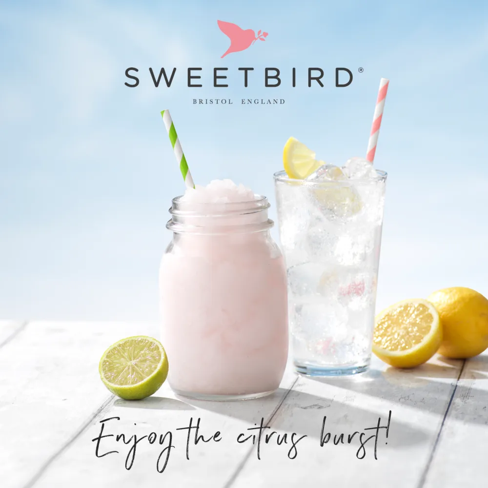 Sweetbird Sirop de chai | 1 litre | FS241 - product information 2