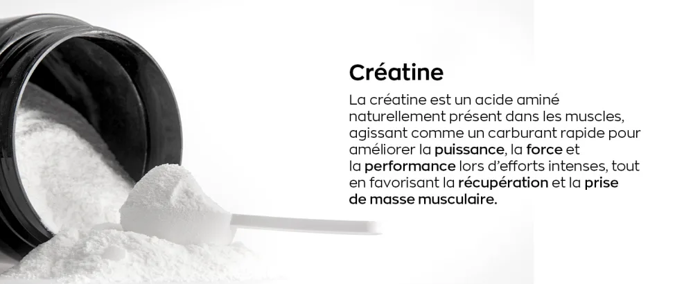 EAFIT PURE CREATINE MONOHYDRATE MICRONIS E 500g - 5 Mois - Creatine Monohydrate Poudre - Musculation Homme - Prise de Masse - Augmente les Performances Physiques - Preworkout Booster Puissant - product information 3