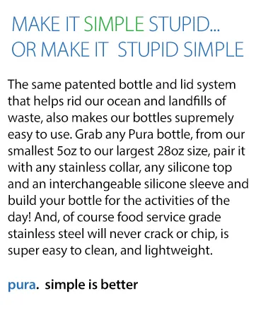 Pura Bundle: Two (2) Pura Silicone Straws (Plastic Free  Certified  BPA Free) 2 Silicone Straws - Pura Stainless