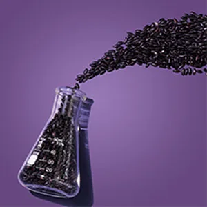 Nexxus Keraphix Conditioner Keraphix with ProteinFusion for Damaged Hair With Keratin Protein and Black Rice 13.5 oz - The Ingredients
