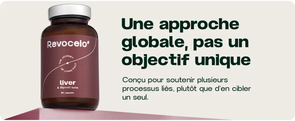 Liver & Thyroid Sync - Formule au TUDCA pour l quilibre du foie et de la thyro de 60 g lules - product information 4