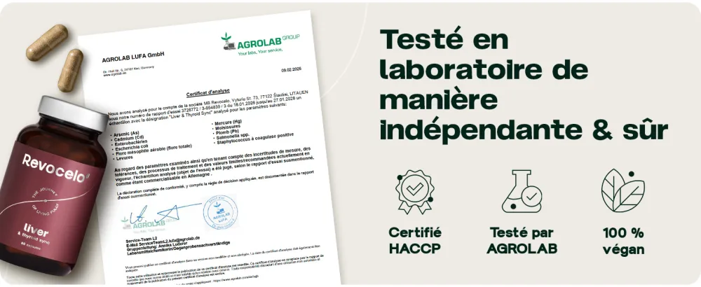 Liver & Thyroid Sync - Formule au TUDCA pour l quilibre du foie et de la thyro de 60 g lules - product information 6