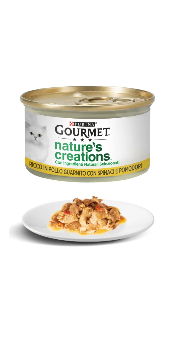 GOURMET PUREE SALMON 11X5X10GR - product information 11