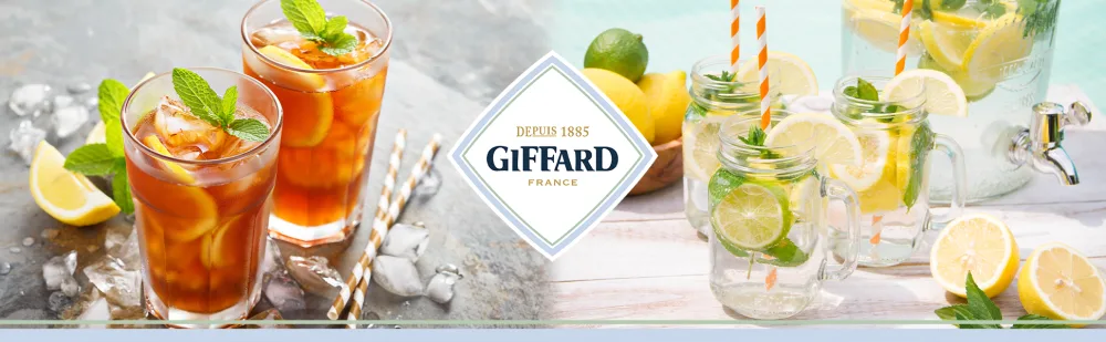 GIFFARD - Sirop de Fleur de Sureau - Recette et Fabrication Fran aises - Floral et D salt rant - 1 Litre - product information 1