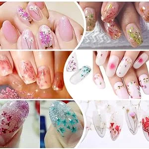 6pcs Tiny Natural Real Pressed Dried Flower for DIY Craft Jewelry Making Handmade Resin Ornament (Multi) - Nail Art